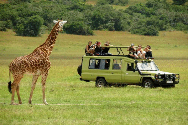 Serengeti National Park